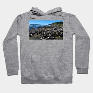 Otter Crest Beach Oregon Hoodie